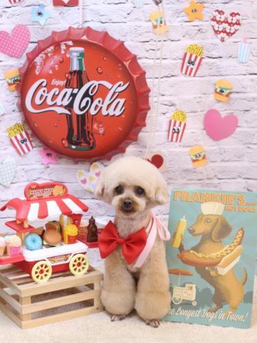 20230909マロンちゃん